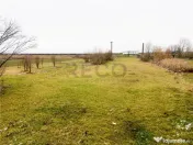 RECO . Teren intravilan cu hala metalica in Roit . 