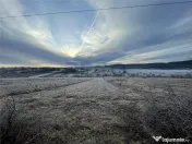 RECO teren Vadu Crisului 