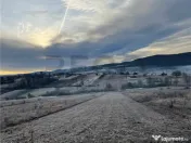 RECO teren Vadu Crisului 