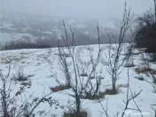 RECO, teren intravilan, Zona Sinteu, Bihor 