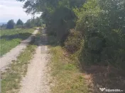 RECO, teren intravilan, Zona Sinteu, Bihor 