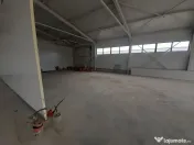 Hale cu suprafete intre 100-560mp in zona Drumul Intre Ta... 