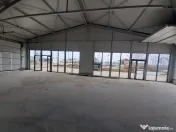 Hale cu suprafete intre 100-560mp in zona Drumul Intre Ta... 