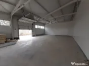 Hale cu suprafete intre 100-560mp in zona Drumul Intre Ta... 