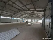 Hale cu suprafete intre 100-560mp in zona Drumul Intre Ta... 