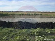 Teren Sanpetru, str Armoniei, 539mp, cu proiect casa si a... 