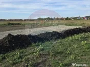 Teren Sanpetru, str Armoniei, 539mp, cu proiect casa si a... 