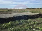 Teren Sanpetru, str Armoniei, 539mp, cu proiect casa si a... 