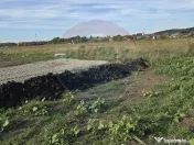 Teren Sanpetru, str Armoniei, 539mp, cu proiect casa si a... 