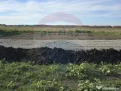 Teren Sanpetru, str Armoniei, 539mp, cu proiect casa si a... 