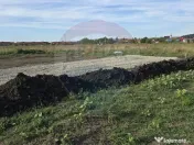 Teren Sanpetru, str Armoniei, 539mp, cu proiect casa si a... 