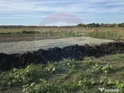 Teren Sanpetru, str Armoniei, 539mp, cu proiect casa si a... 