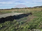 Teren Sanpetru, str Armoniei, 539mp, cu proiect casa si a... 