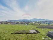 Teren Sanpetru, str Armoniei, 539mp, cu proiect casa si a... 