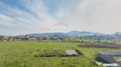 Teren Sanpetru, str Armoniei, 539mp, cu proiect casa si a... 