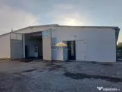 HALA 470 MP 2600 MP TEREN - CATAMARASTI 