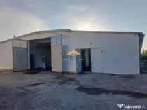 HALA 470 MP 2600 MP TEREN - CATAMARASTI