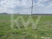 TEREN INTRAVILAN 1000 MP CARCEA - ZONA HANUL CU PONEI 