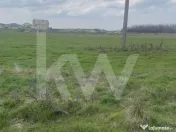 TEREN INTRAVILAN 1000 MP CARCEA - ZONA HANUL CU PONEI 