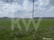 TEREN INTRAVILAN 1000 MP CARCEA - ZONA HANUL CU PONEI 