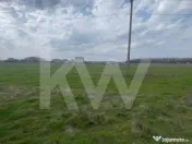 TEREN INTRAVILAN 1000 MP CARCEA - ZONA HANUL CU PONEI 