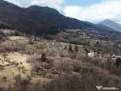 16 E+TVA/mp: Teren Bran Predelut 24253 mp intravilan proi... 