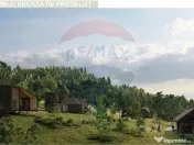 16 E+TVA/mp: Teren Bran Predelut 24253 mp intravilan proi... 