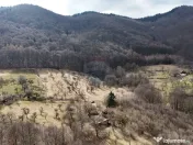 16 E+TVA/mp: Teren Bran Predelut 24253 mp intravilan proi... 