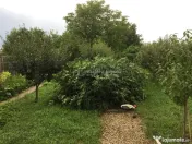 Vila 7 camere 230 mp - Clinceni / Str. Monumentul Eroilor 