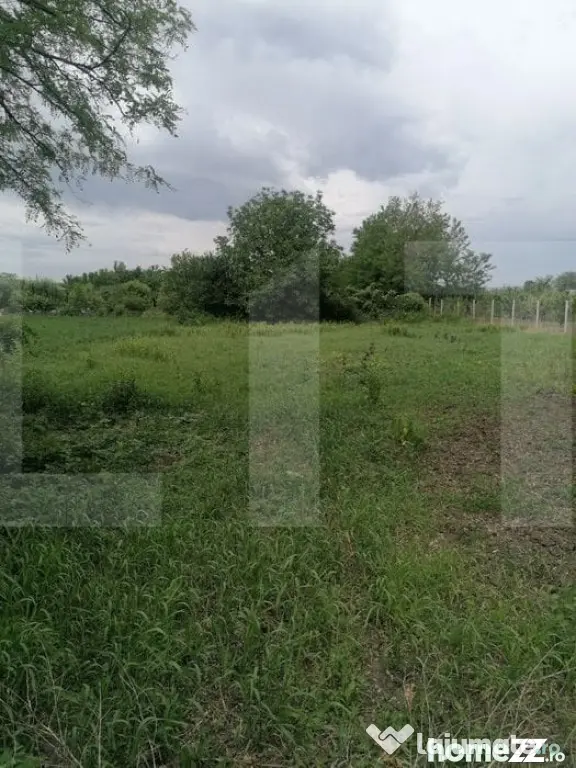 Casă bătrânească de vânzare – Brăești, județul Bot - Braesti (Botosani)