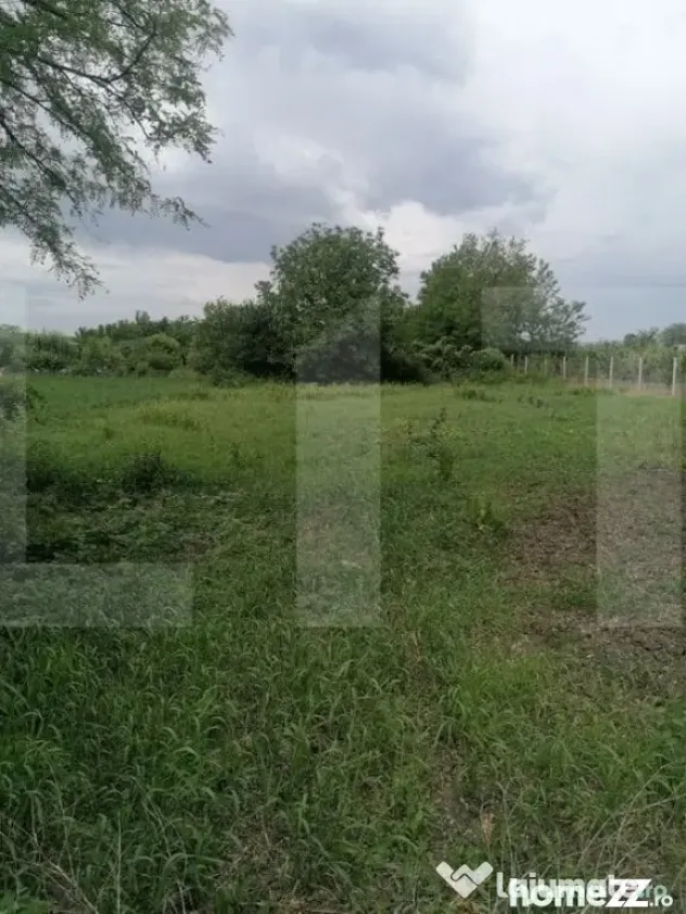 Casă bătrânească de vânzare – Brăești, județul Bot - Braesti (Botosani)