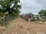 Teren Domnesti- Mega Image. 