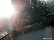 Vila 14 camere- Valea Doftanei 