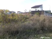 Teren intravilan -pozitie deosebita-langa padure-Domnesti-Teghes 518mp 