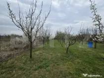 Teren intravilan de vanzare, 2.877 mp, zona Apateu Satu Mare