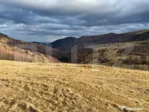 Teren Construibil - Muntele Baisorii , 5000mp - cu posibilit