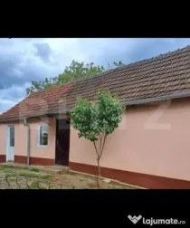 Doua case intr-o curte de 952 mp, Paleu-liniste, spatiu, po