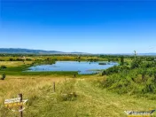 Teren 14.000 mp in statiunea Covasna, ideal pentru rezidenti 