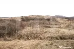 Teren 7088 mp în Borhanci – achiziție integrală sau sep