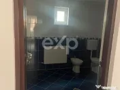 Casă / Vilă cu 6 camere de vânzare Leontinesti - Bacau