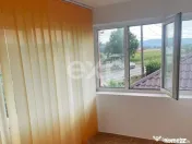 Casă / Vilă cu 6 camere de vânzare Leontinesti - Bacau