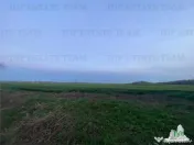 Teren intravilan 15000 mp Costinesti, Constanta 