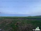 Teren intravilan 15000 mp Costinesti, Constanta 