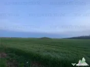 Teren intravilan 15000 mp Costinesti, Constanta 