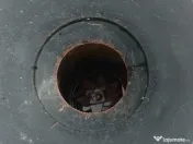 Tocător profesional Samix Allesfresser S-B 6 Motor Termic (Benzină) 