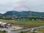 REZERVAT! Teren 440mp Sacele - Strada Gospodarilor 