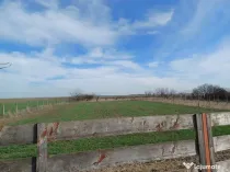 Teren intravilan 5000mp-toate utilitatile-zona mixta (constructii + livada)