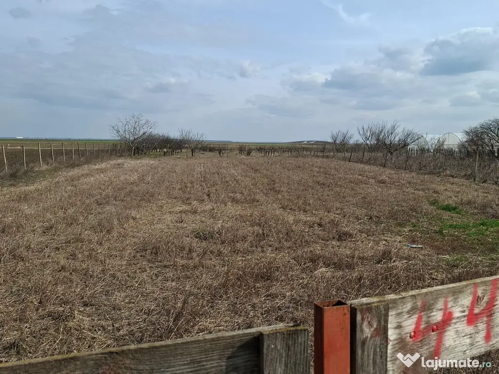 Teren intravilan 5000mp-toate utilitatile-zona mixta (constructii + livada)