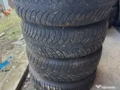 Porumbei ciungi de Ploiesti 