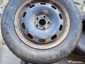 Porumbei ciungi de Ploiesti 